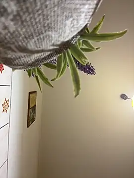 CrazyJessika online show from March 2026 09:08:02 PM