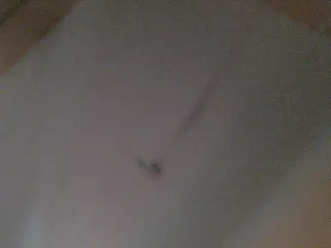 BellahG90 online show from November 2025 01:54:02 PM