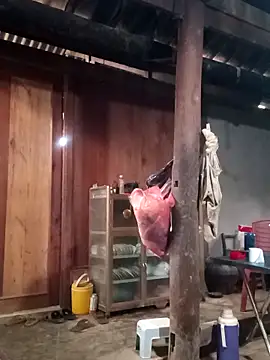 Lily-ross22 online show from January 2026 03:54:01 AM