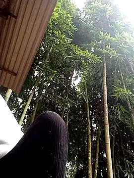 hey-bana online show from December 2025 03:34:01 AM