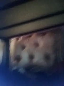 Cuteyuuboy2086 online show from January 2026 01:05:02 PM