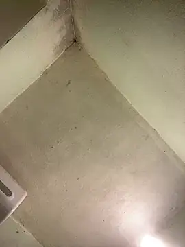 muti99 online show from February 2026 12:16:01 PM