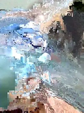 Snapshot of Harry254238 chatting on January 2026 05:38:02 PM Harry254238 online show from January 2026 05:38:02 PM