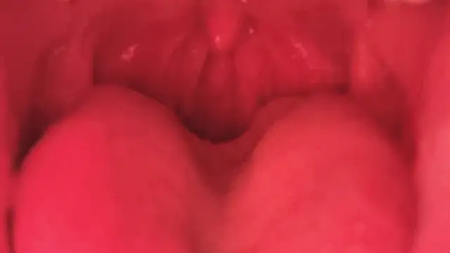 LT-333 online show from January 2026 03:50:02 PM