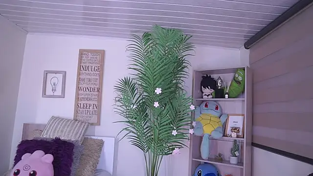 dakotaa 01 online show from January 2026 02:08:02 PM