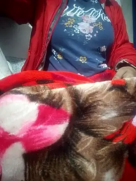 Snapshot of SassyDiy chatting on January 2026 11:59:01 AM SassyDiy online show from January 2026 11:59:01 AM