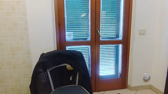 AMIRDIB2025 online show from February 2026 10:27:01 AM