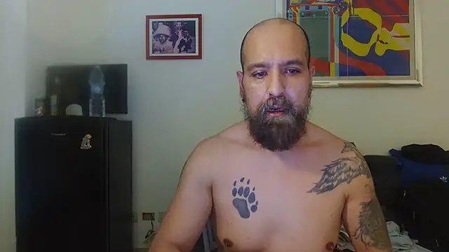 AMIRDIB2025 online show from July 2026 05:39:02 PM