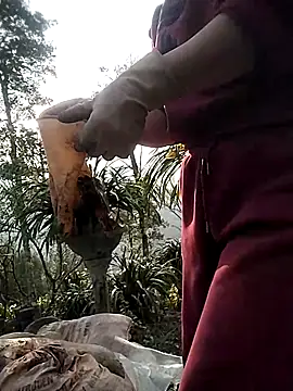 Snapshot of Alibabapi chatting on March 2026 09:55:02 AM Alibabapi online show from March 2026 09:55:02 AM