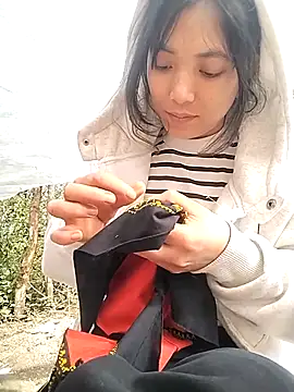 Alibabapi online show from March 2026 02:48:01 AM