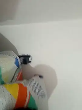 blimblimtom online show from November 2025 06:39:03 AM