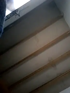 Wey77777 online show from December 2025 02:16:02 AM