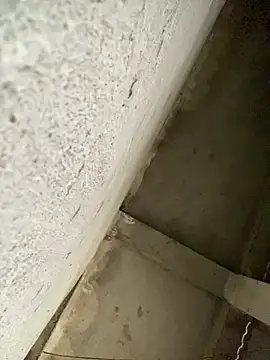 Lilik2 online show from January 2026 08:08:01 AM