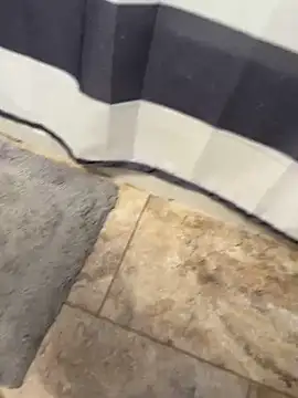 Snapshot of Bigdickandballs85521 chatting on January 2026 06:21:02 PM Bigdickandballs85521 online show from January 2026 06:21:02 PM