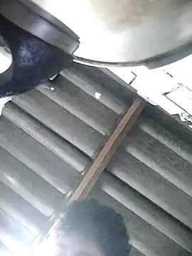 Snapshot of BlakeNoir_ chatting on February 2026 02:08:02 AM BlakeNoir online show from February 2026 02:08:02 AM