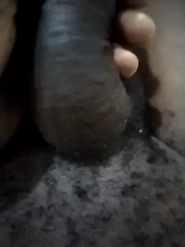 Piazza21 online show from February 2026 04:50:02 AM