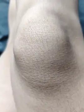 Snapshot of Miky_Lyn chatting on February 2026 05:53:02 PM Miky Lyn online show from February 2026 05:53:02 PM