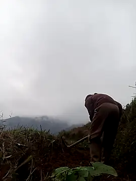 Snapshot of mon-monk chatting on December 2025 01:11:01 AM mon-monk online show from December 2025 01:11:01 AM