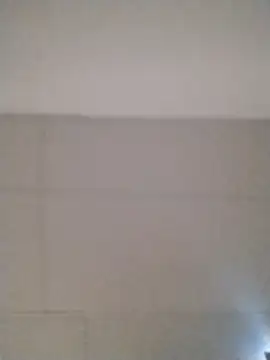 romeo-open online show from December 2025 01:39:02 PM