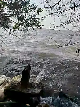 Andreskelly online show from February 2026 01:51:02 PM