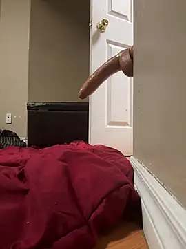 Snapshot of Nehats chatting on January 2026 02:49:01 AM Nehats online show from January 2026 02:49:01 AM