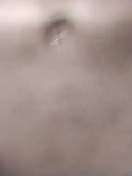 Laxmi9090 online show from February 2026 06:31:02 AM