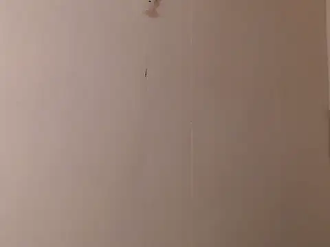 camelastarsairo online show from March 2026 09:37:01 PM