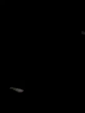 Snapshot of mana-ala chatting on January 2026 11:54:02 PM mana-ala online show from January 2026 11:54:02 PM