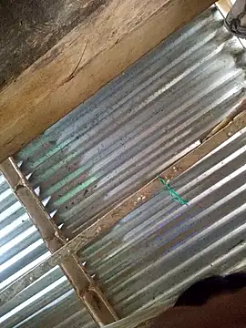 Snapshot of Rousse_uwu chatting on January 2026 05:15:01 PM Rousse uwu online show from January 2026 05:15:01 PM