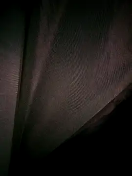 Snapshot of Rousse_uwu chatting on February 2026 04:19:01 AM Rousse uwu online show from February 2026 04:19:01 AM