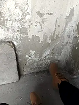 Mar81 online show from February 2026 01:06:01 PM