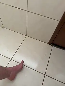 EngenheiroNovinho online show from February 2026 04:57:02 PM