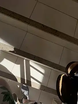 EngenheiroNovinho online show from March 2026 12:00:02 PM