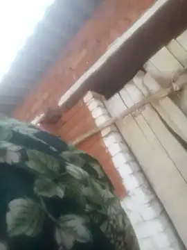 Pinki rajak online show from April 2026 10:50:01 AM