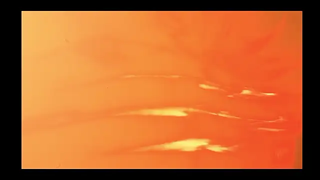 vickvalencia2 online show from February 2026 01:40:01 PM