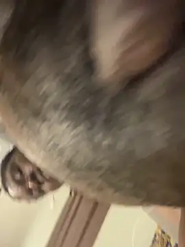 Snapshot of melaninpoppop chatting on January 2026 01:42:02 AM melaninpoppop online show from January 2026 01:42:02 AM