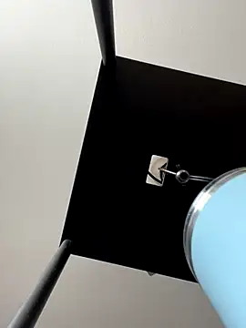 Snapshot of evengaige chatting on December 2025 06:14:02 PM evengaige online show from December 2025 06:14:02 PM