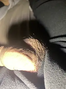 Snapshot of lion_kun chatting on December 2025 10:10:02 AM lion kun online show from December 2025 10:10:02 AM