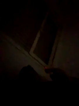 Camilooo123455 online show from December 2025 01:47:01 AM