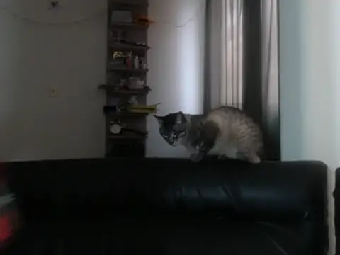 BeautyYoungblond online show from February 2026 10:26:02 PM