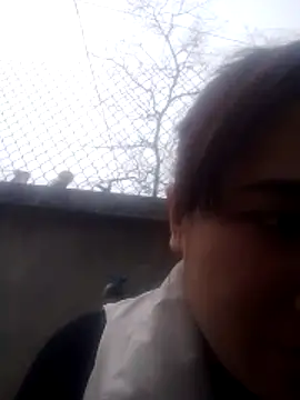 Belinda-686 online show from February 2026 07:36:02 AM