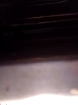 punecouplegroup online show from December 2025 05:46:01 AM