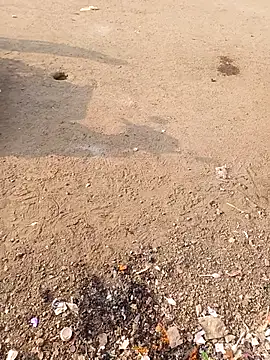 punecouplegroup online show from February 2026 03:32:02 AM