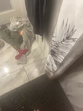 Miguel 667 online show from February 2026 11:25:02 AM