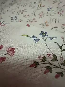 rebyreby11 online show from April 2026 04:59:01 PM