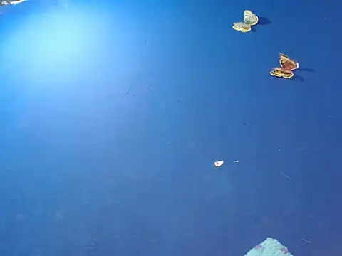 sk8-boy online show from December 2025 01:39:02 PM