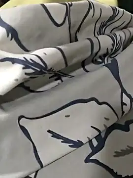 Telugumistress online show from December 2025 12:44:02 PM