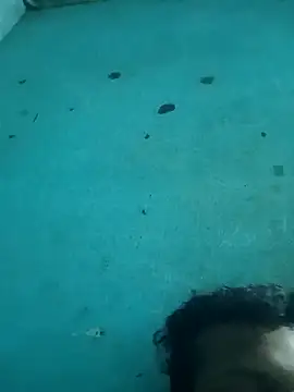 tamilansinsforu online show from April 2026 02:56:02 PM