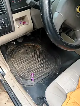 PIGHIGHDIRTY p0 online show from February 2026 09:04:01 PM