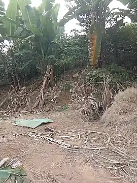 Snapshot of Menlike69 chatting on January 2026 02:27:02 AM Menlike69 online show from January 2026 02:27:02 AM